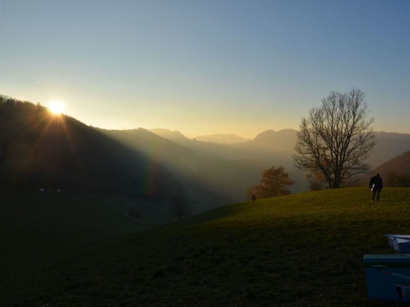 benken 2015  