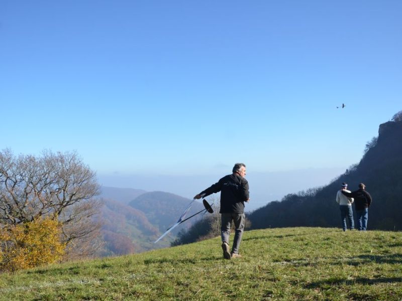 benken 2015  