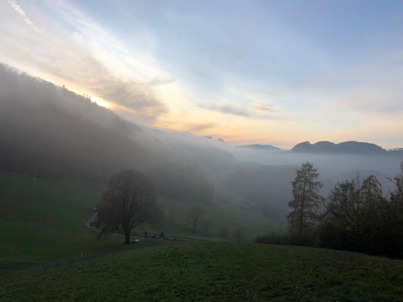 benken 2019  