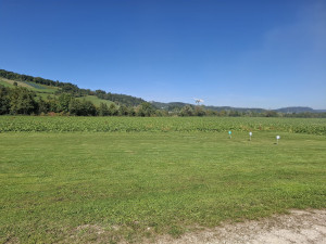 82b3738c 78dfd8 a2a9 e96433b26afc