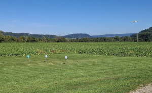 846ffe3d da78 40cd 94f9dd4ffce5906