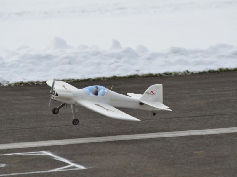 neujahrsfliegen 2015  