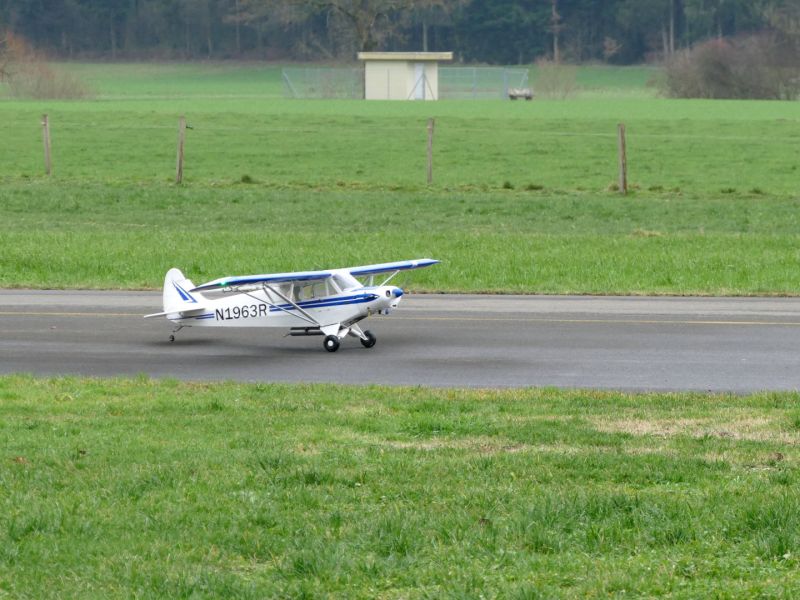 neujahrsfliegen 2019  