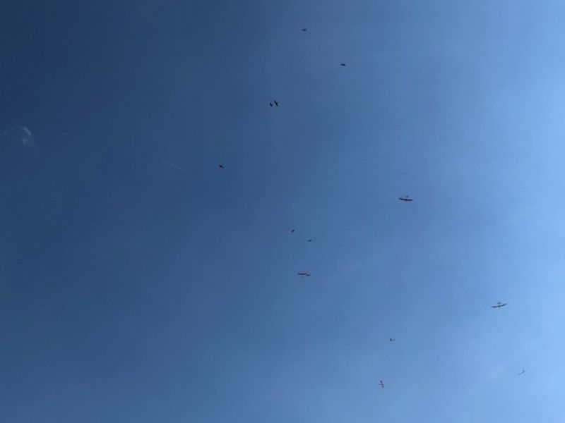 res wettbewerb 2019  