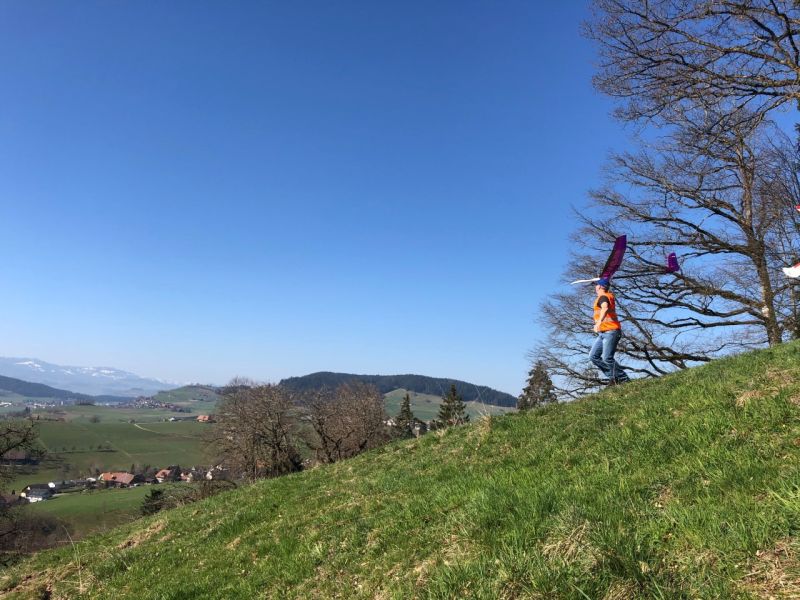 zaeziwiler 2019  