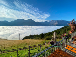 a368d808 66a4 40a5 be1d 553e6c7e99ef