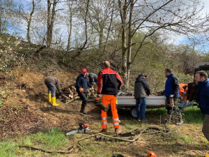 bild 10 20220411 1186564189