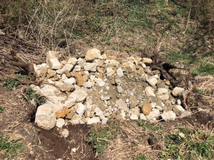 bild 3 20220411 1198433900