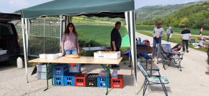 efd3ccef 138a 4599 a410 925977106379