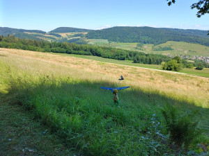 photo 2022 06 15 20 20 59