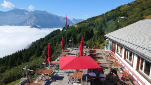 photo 2022 08 07 16 30 17 2