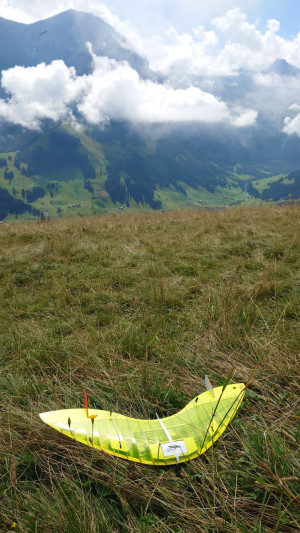 photo 2022 08 07 16 30 18 3