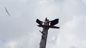 photo 2022 08 07 16 30 18