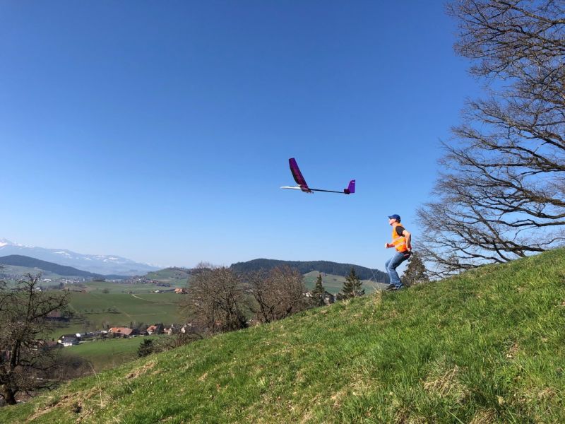 zaeziwiler 2019  